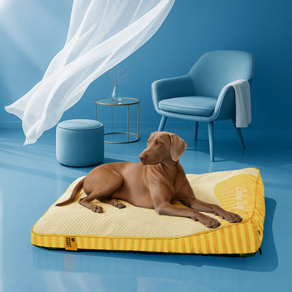 Extra großes kühlendes waschbares rechteckiges orthopädisches Hundebett - haustierfreundliches Schlafzimmer