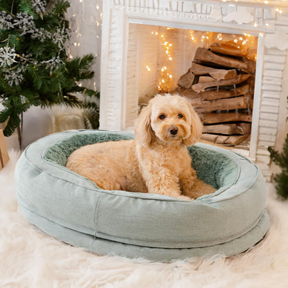 Donut Orthopädisches Hundebett - Home Office