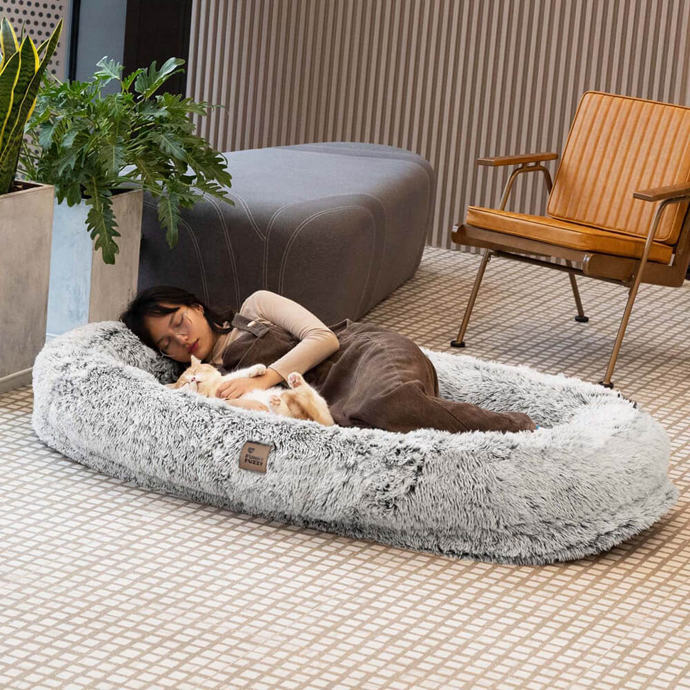 Donut Orthopädisches Hundebett - Home Office